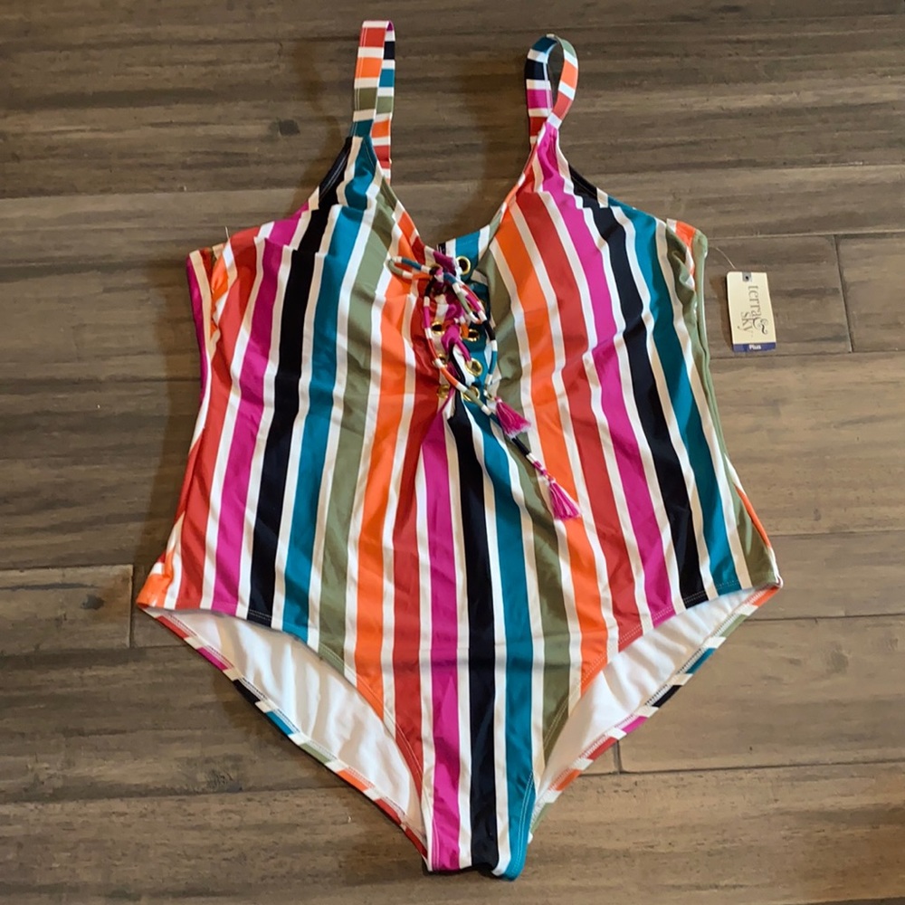 Terra & Sky One Piece Stripe Swimsuit SZ 4X